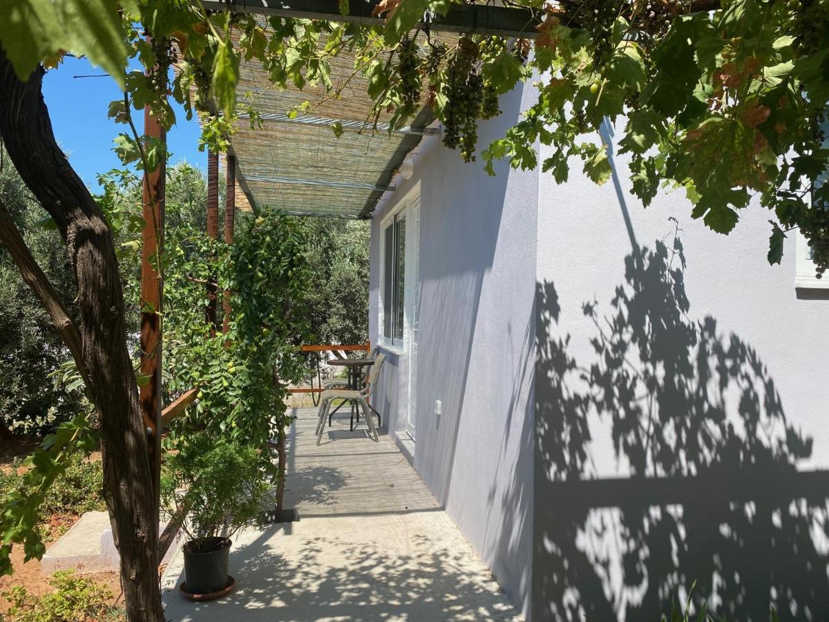 Vine Veranda Палеохора Экстерьер фото